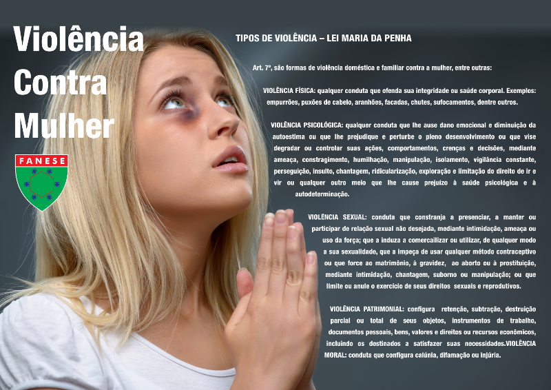 Fly Violência Contra Mulher